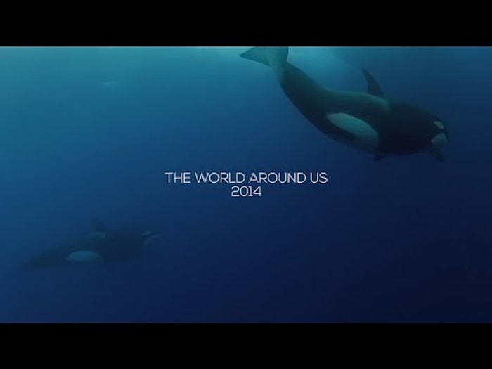 İyisiyle Kötüsüyle 2014 Böyle Geçti | The World Around Us