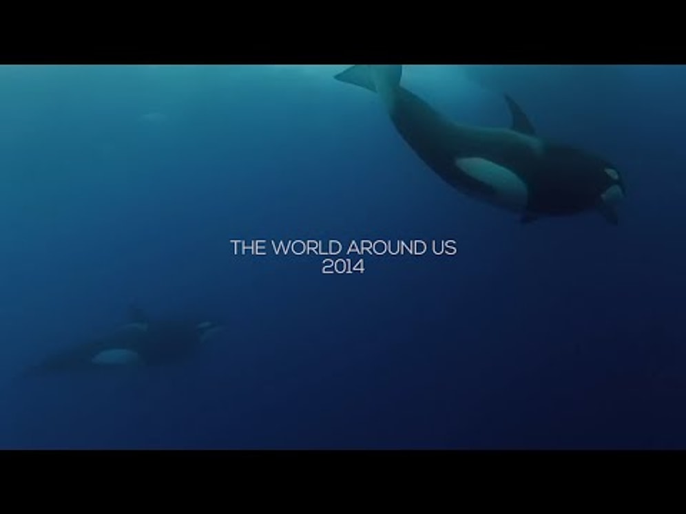 İyisiyle Kötüsüyle 2014 Böyle Geçti | The World Around Us