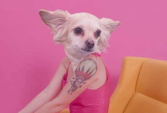 Köpekleri İnsan Biçimine Sokarak Çekilen Klip | Tell Me