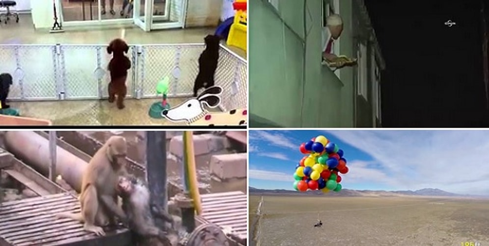 Geçtiğimiz Haftanın Mutlaka İzlemeniz Gereken 10 Videosu