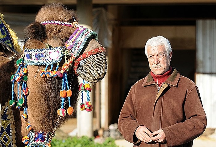 'Güreş Yasaklanırsa 2 Bin Deve Sucuk Olur'