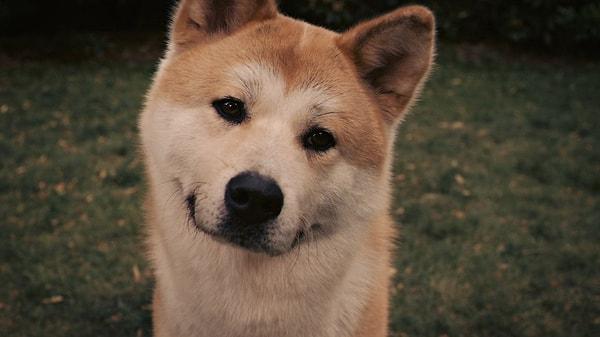 2. Hachi / Hachiko: Bir Köpeğin Hikayesi (2009)