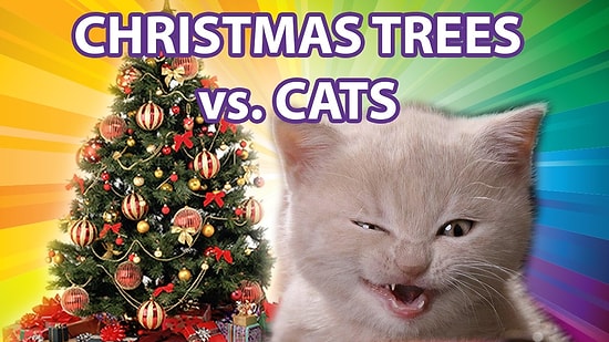 Meraklı Kediler, Yeni Yıl Ağaçlarına Karşı