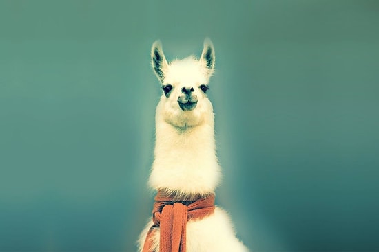 Size Kombiyi Kökletip Doğalgaza Servet Ödetecek Kadar Soğuk 30 Kelime Esprisi