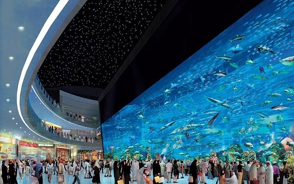 7. Dubai Mall akvaryumu. Şunlara bakınca hepsi 20-30 senede mi oldu diyesi geliyor insanın.