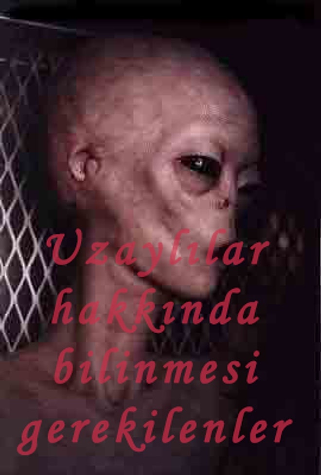 Uzaylılar Hakkında Bilinmesi Gerekilenler