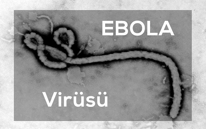 İtalyan Doktor Ebola Hastalığını Yendi