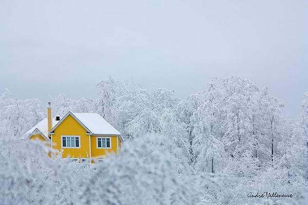 13. Karlara gömülmüş küçük sarı ev