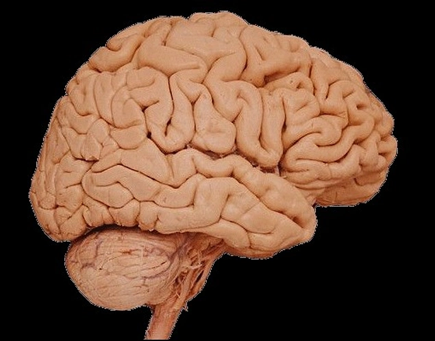 Nanotıp alanında çalışan bilim insanları, bir metreden milyar kat daha küçük olan cihazlar üreterek beynin ön koruma mekanizmasını kolaylıkla geçebilecek ilaç taşıyıcılar geliştirmeye çalışıyor.