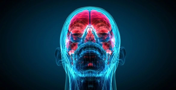 Fakat beyinlerimizin navigasyon yeteneği oldukça gelişmiştir. Geçtiğimiz yıl insan beyninin bir tür GPS mekanizmasına sahip olduğunu kanıtlayan bilim insanları Ekim ayında Nobel Ödülü'nü almıştı.