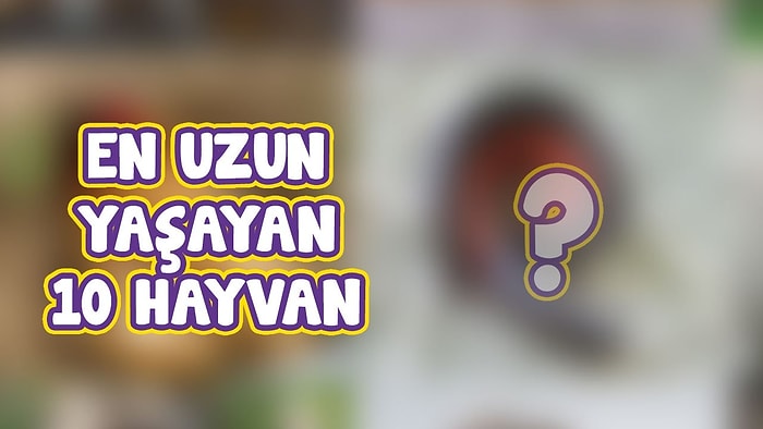 En Uzun Yaşayan 10 Hayvan