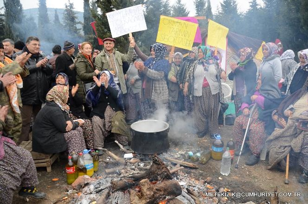 Direnişin Yaşı 84!