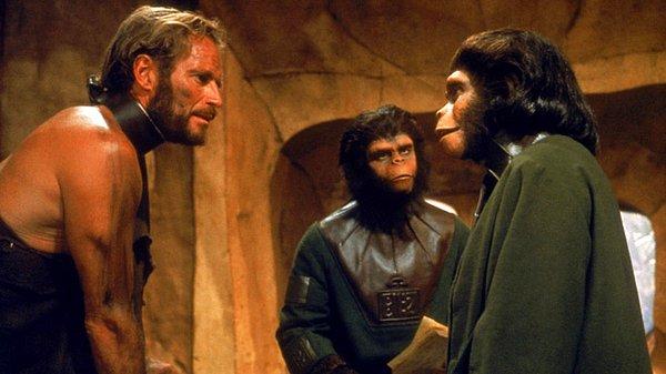 14. Maymunlar Cehennemi: Primatlarla İletişim