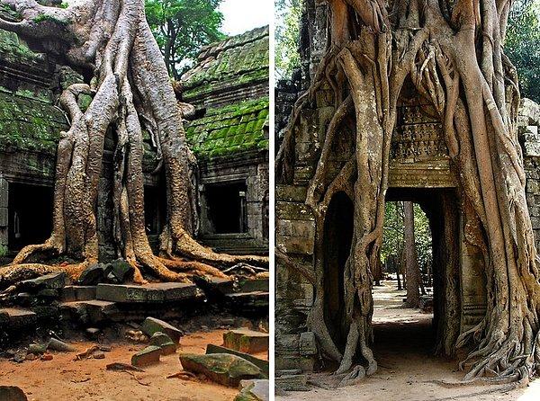 28. Angkor Wat, Kamboçya