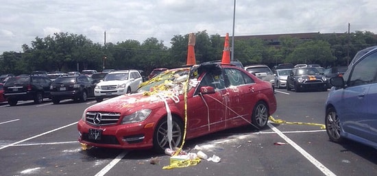İğrenç Park Ettiği İçin İnsanlar Tarafından Cezalandırılan 28 Kişi