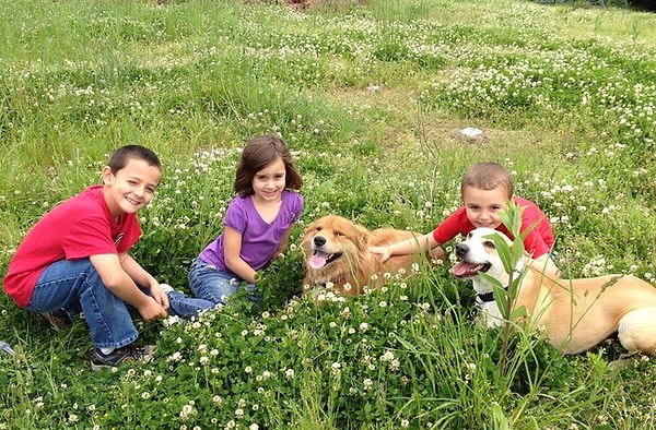 9. Köpekler, çocukların önemli sosyal beceriler kazanmalarında yardımcı olur.