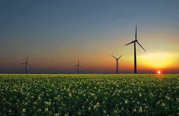 Kısıtlı kaynaklara sürdürülebilir bir çözüm: Yenilenebilir enerji