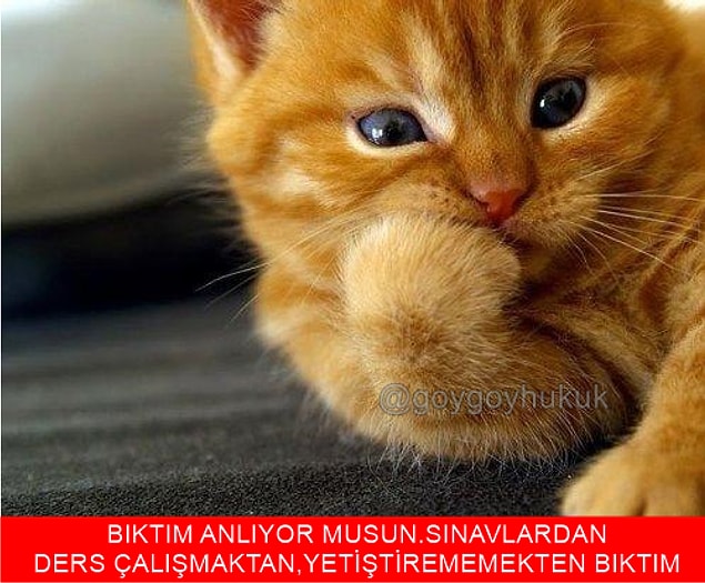 Sınavlarla birlikte bıkkınlık da başlar.
