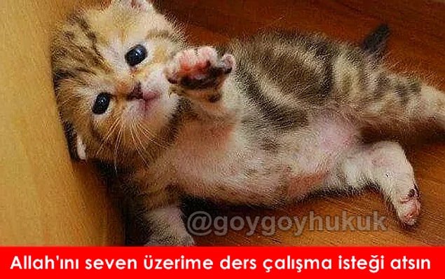 Ders çalışmaya çalışmak,ders çalışmak kadar yorar.