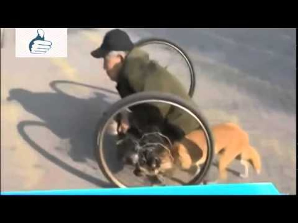 İki Teker Üzerinde Yaşam Mücadelesi Veren Adamın Yanından Ayrılmayan Sadık Köpeği