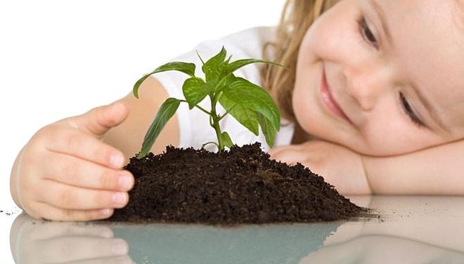 Bitkilerden Almamız Gereken 15 Eşsiz Hayat Dersi