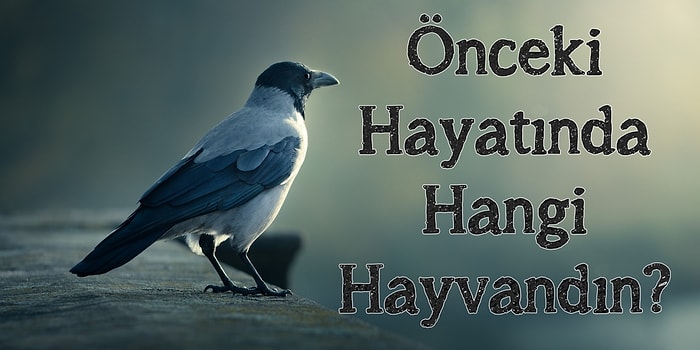 Önceki Hayatında Hangi Hayvandın?