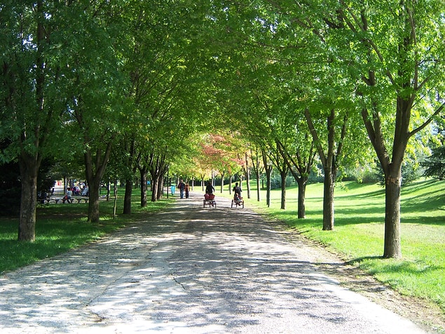 9. Yeşil deyince akla renk değil, Bursa'nın gelmesidir.