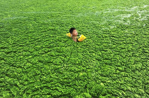 4. Qingdao'da alglerle dolu suda yüzen bir çocuk.