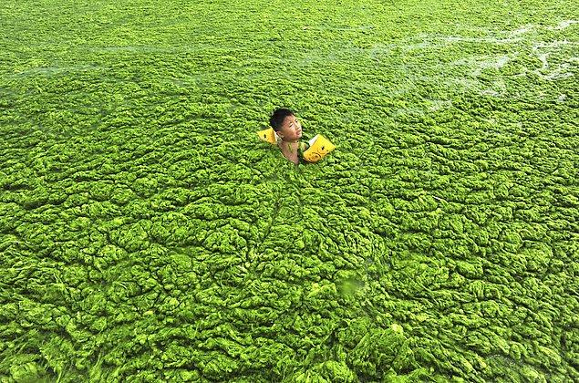 4. Qingdao'da alglerle dolu suda yüzen bir çocuk.