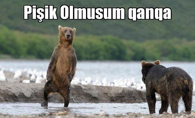 20. Sosyal medyada istisnasız "k" harfi yerine "q" kullanmaları.
