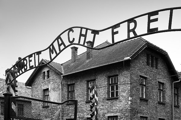 10. Auschwitz Toplama Kampının 70. Kurtuluş Yıldönümü