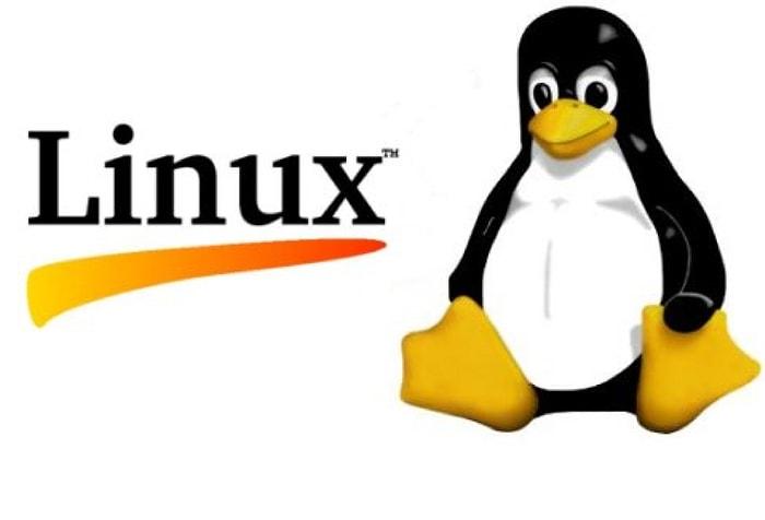 Internete Zarar Verebilecek Linux Hatası Keşfedildi