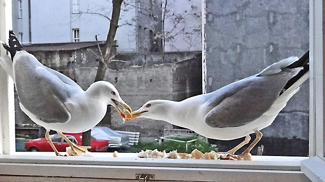 Bu c�mleyi tamamla