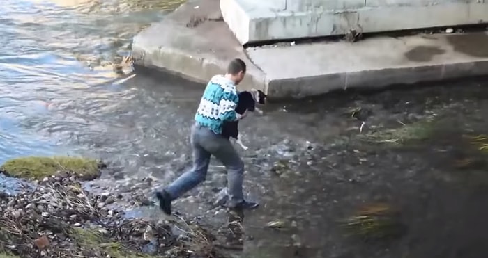 Suyun Ortasında Mahsur Kalan Köpeği Kurtaran Duyarlı Vatandaş