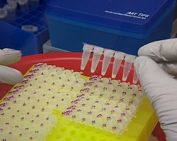 Ebola Virüsü Mutasyona mı Uğradı?