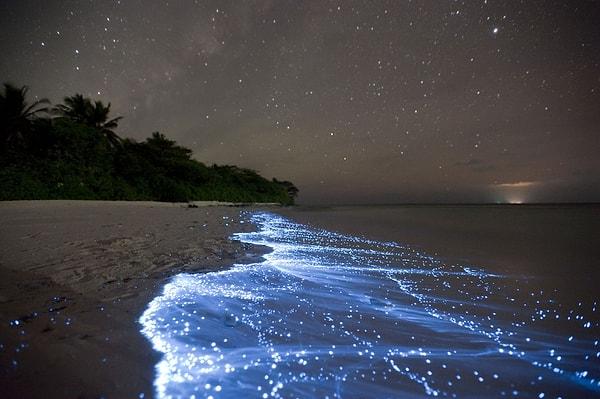 1. Yıldızlar Denizi - Vaadhoo Adası, Maldivler