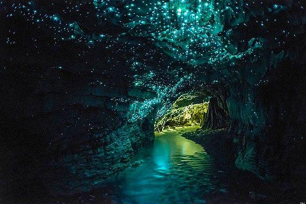 7. Waitomo Glowworm Caves - Kuzey Adası,Yeni Zelanda