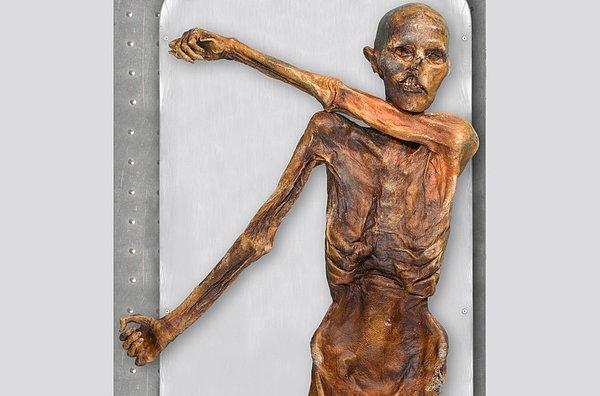 1. 5300 Yaşındaki Ötzi’nin Yeni Dövmeleri Ortaya Çıktı