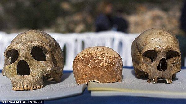 7. İsrail’deki 55.000 Yıllık Kafatası Neandertal ve İnsan Çiftleşmesini Kanıtlayabilir