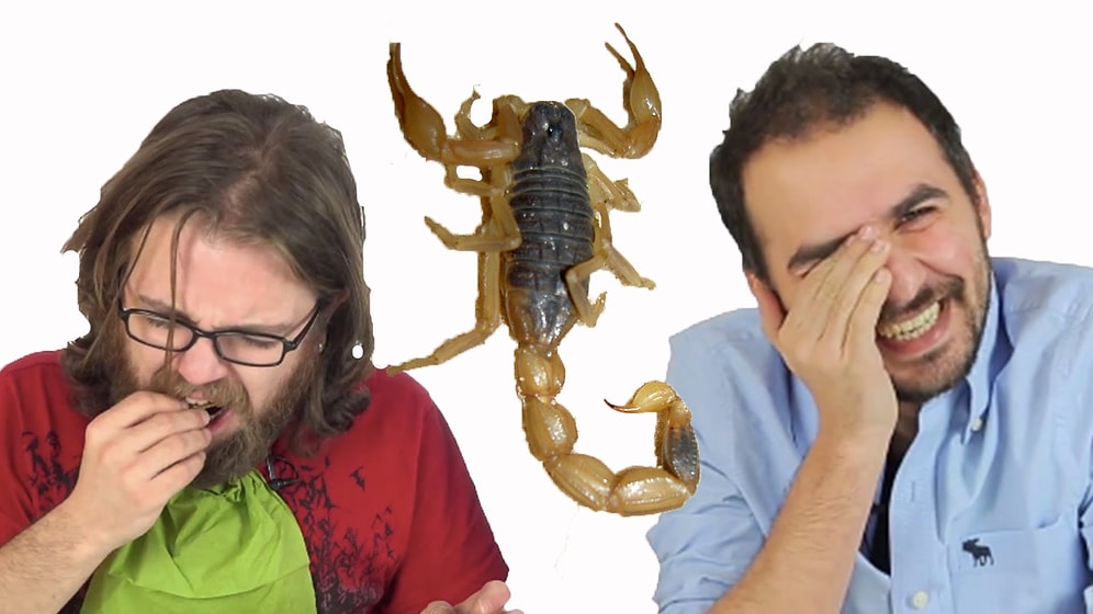 Eğlenceli 'Böcek Yeme' Kapışması | Çekirge, Cırcır Böceği, Akrep İçerir