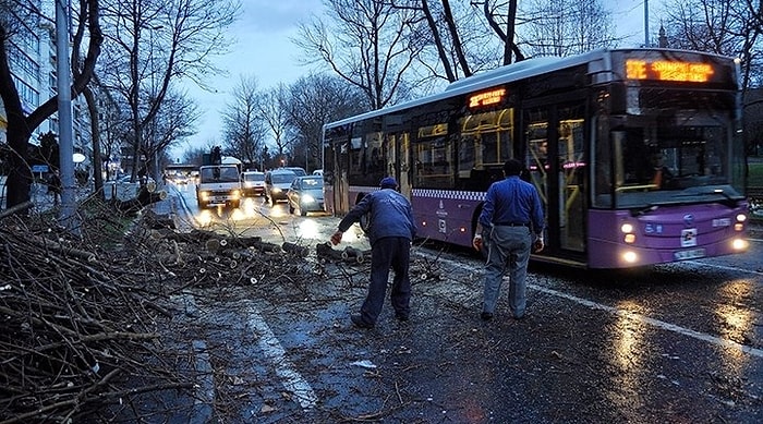 İstanbul'un Lodos Bilançosu: 297 Çatı, 229 Ağaç, 97 Araç