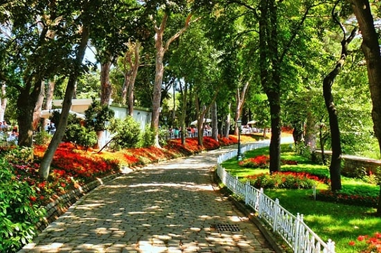 Ertuğrul Günay: 'Emirgan Korusu Yeni Bir Gezi Parkı Benzeri Talan Girişimi'