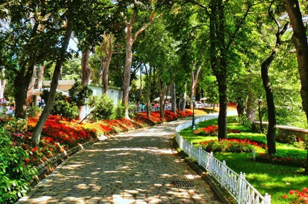 Ertuğrul Günay: 'Emirgan Korusu Yeni Bir Gezi Parkı Benzeri Talan Girişimi'