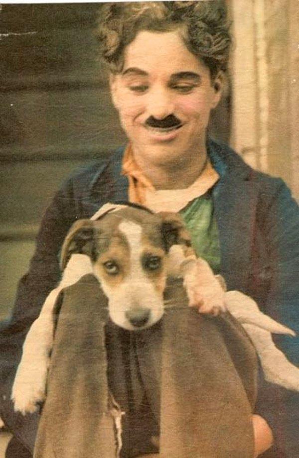 3. Ünlü şapkası olmadan Charlie Chaplin, sevimli dostunu severken.