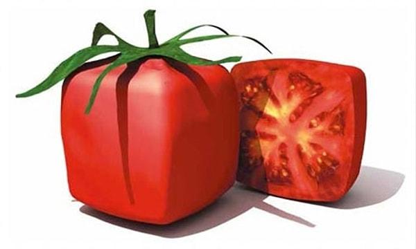 6. Kare domates yetiştirilecek.