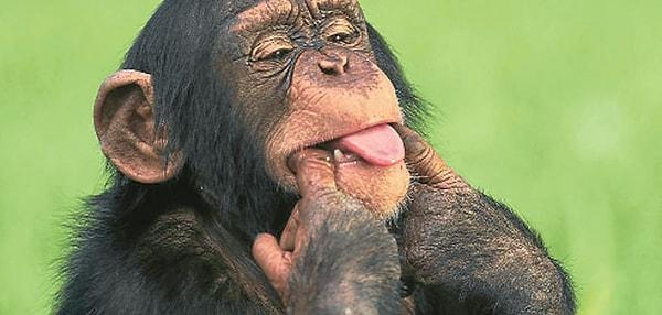 6. Vücudunuzda her santimetrekareye düşen tüy sayısı bir şempanzeninki ile aynıdı