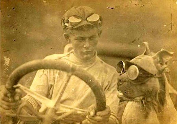 2. Amerikayı Bir Uçtan Diğer Uca Dolaşan İlk Köpek, Bud Yıl 1903