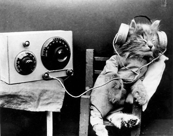 12. Kulaklık Takıp Radyo Dinleyen Kedi, Yıl 1926