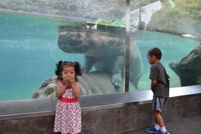 Hayvanat Bahçesindeyken Neler Döndüğünün Pek de Farkında Olmayan 9 Çocuk