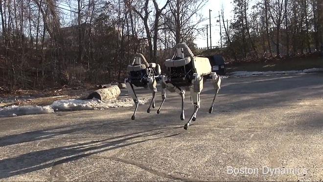 Boston Dynamics Akıllı ve Dengeli Robot-Köpek Spot’u Tanıttı